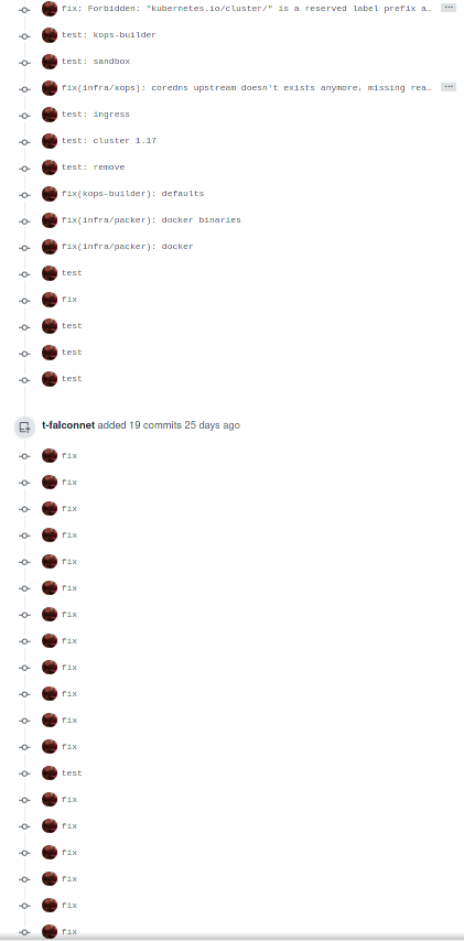Encore une liste de commit affichés dans Github avec une série de fixup qui marquent un certain échec